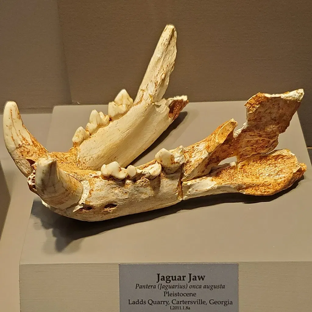 Tellus Science Museum