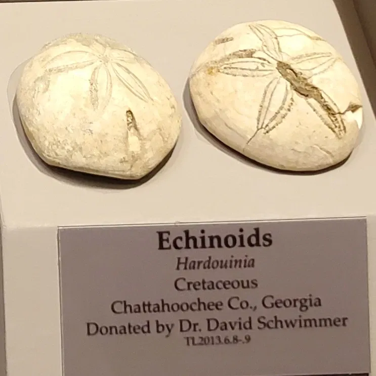 Tellus Science Museum