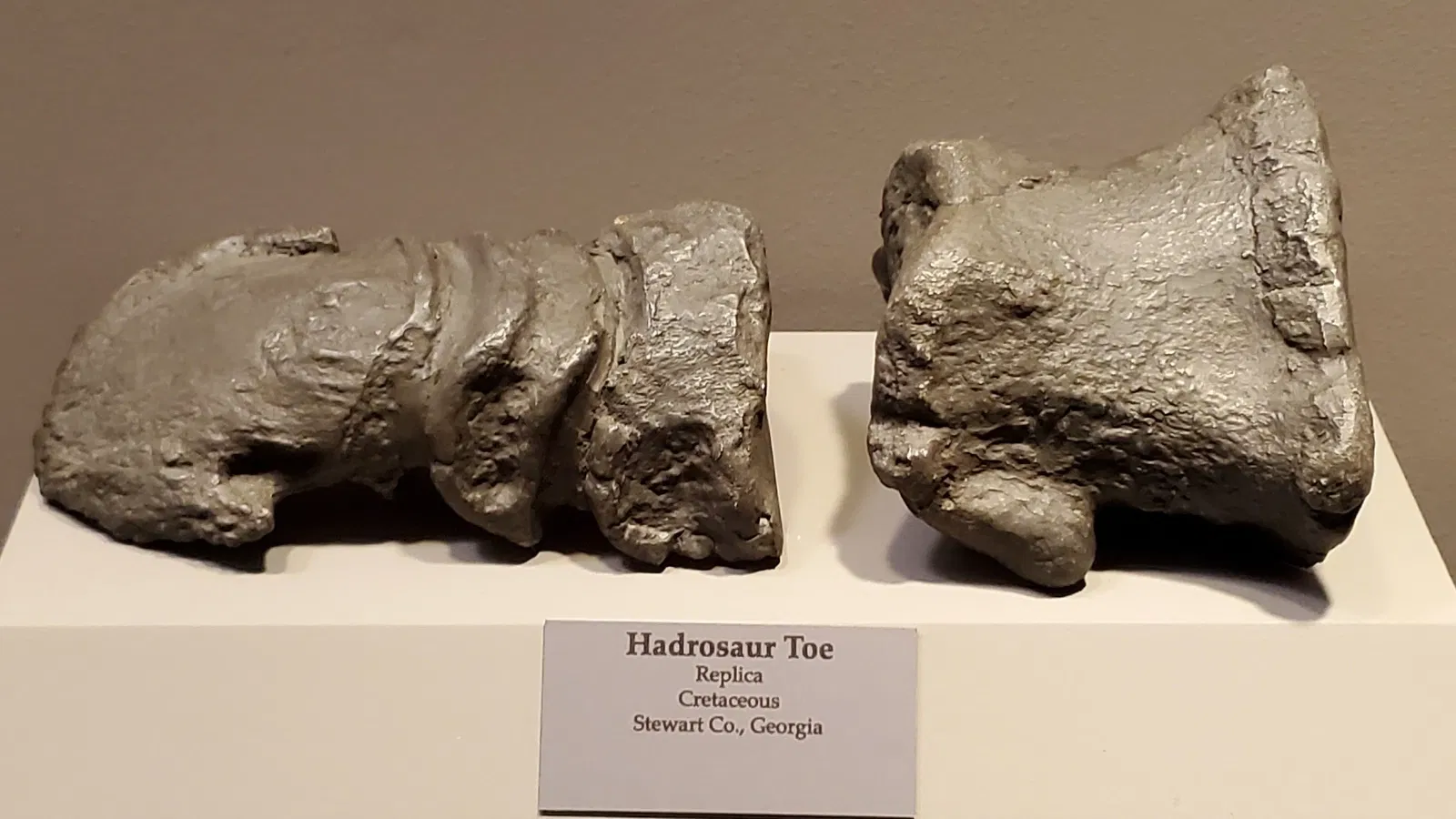 Tellus Science Museum