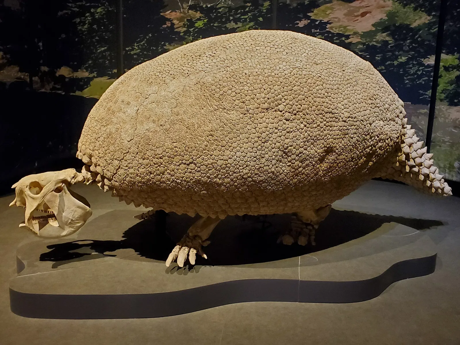 Tellus Science Museum