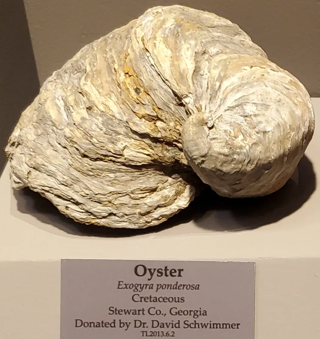 Tellus Science Museum