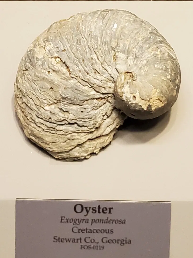 Tellus Science Museum