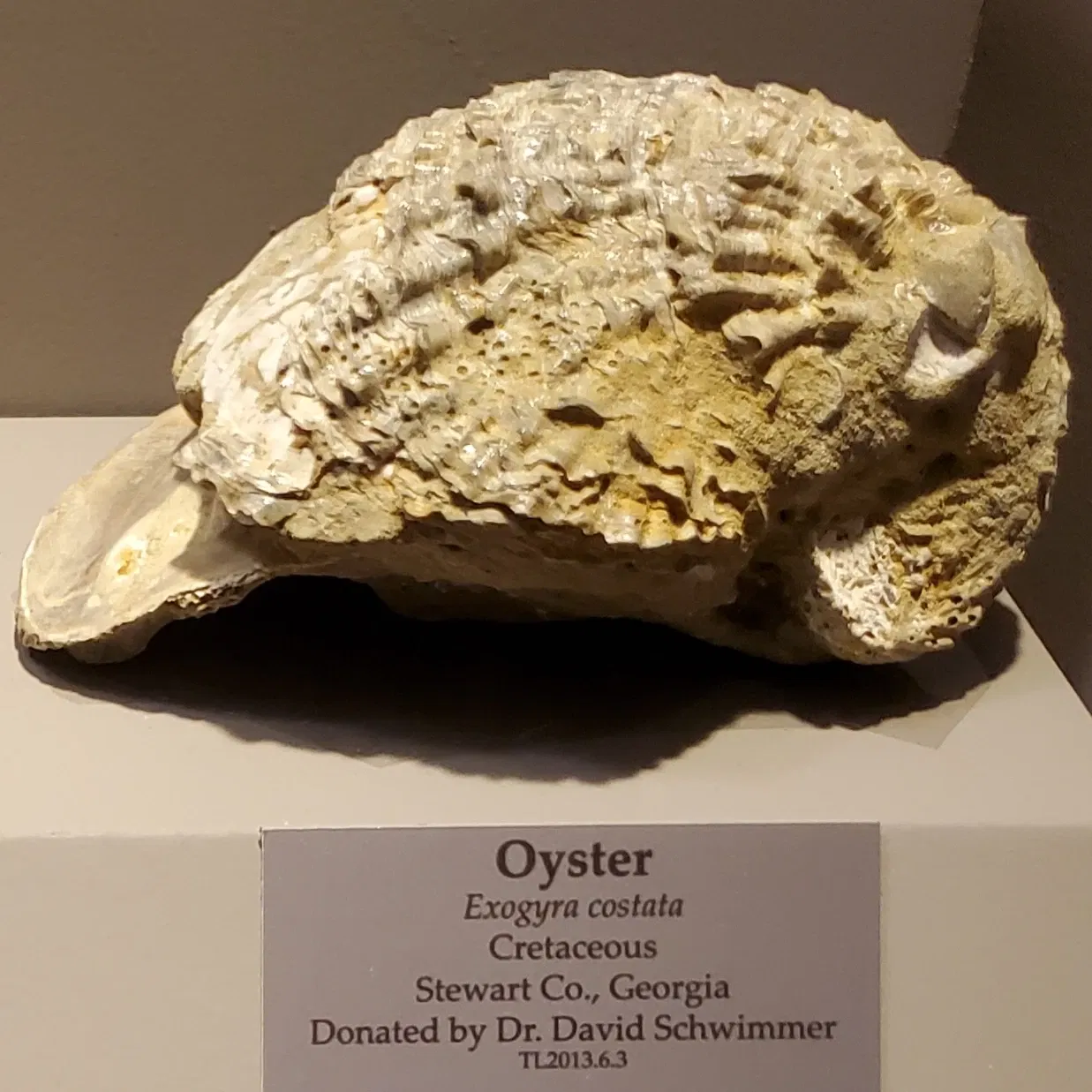 Tellus Science Museum