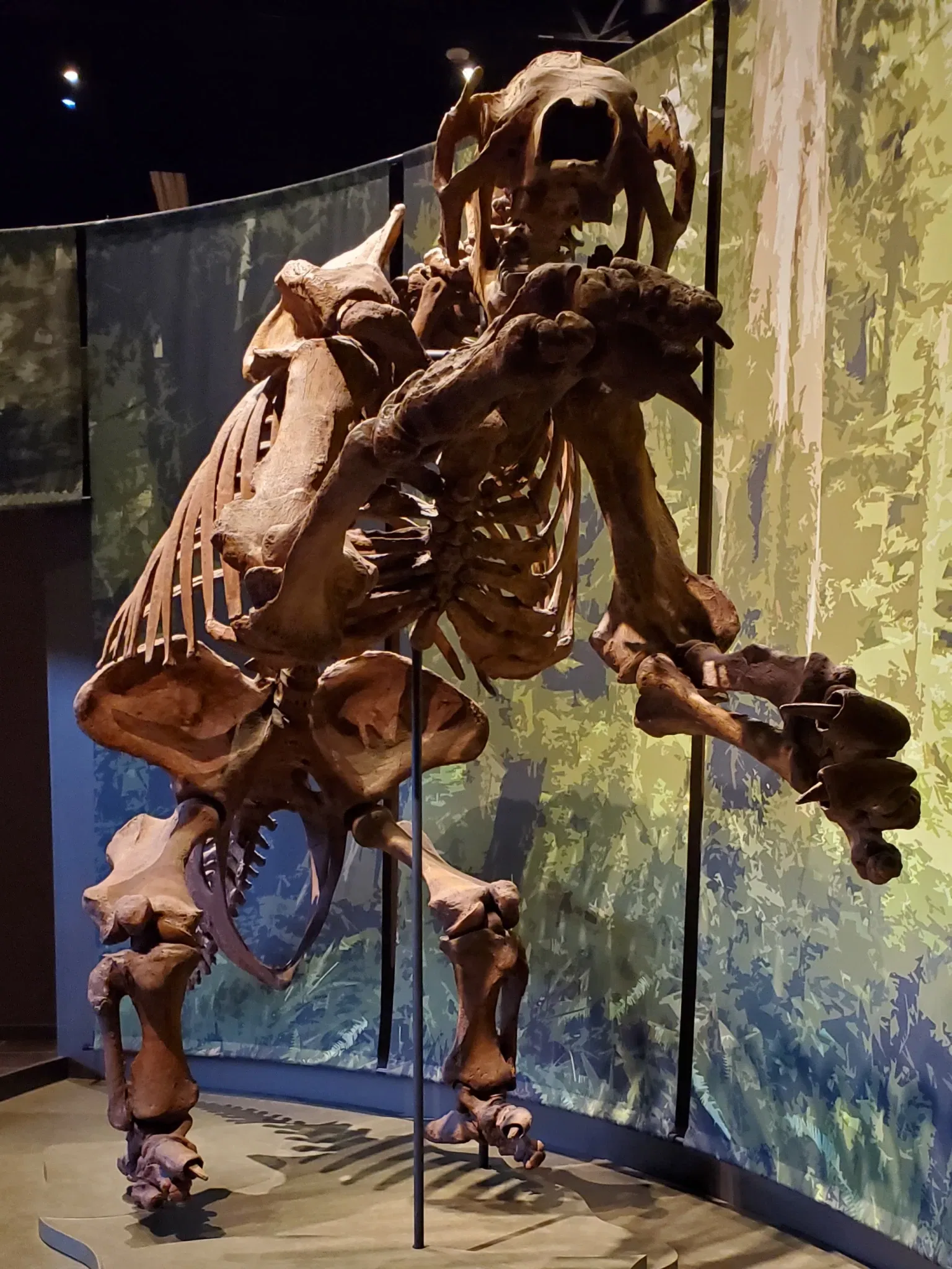 Tellus Science Museum