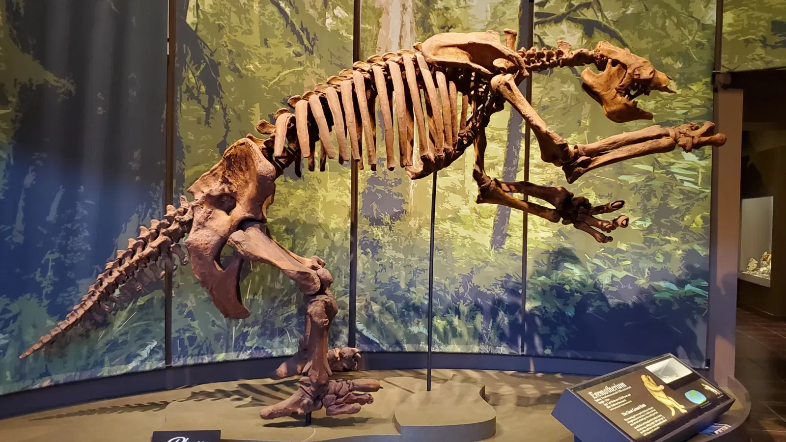 Tellus Science Museum