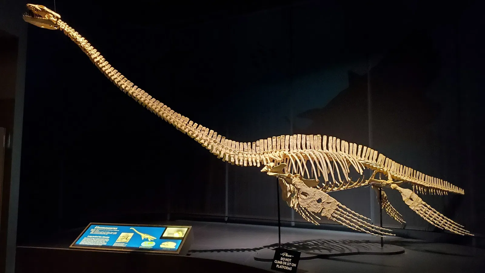 Tellus Science Museum