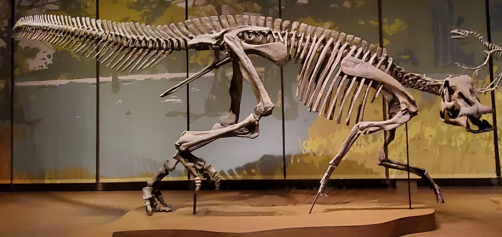 Tellus Science Museum