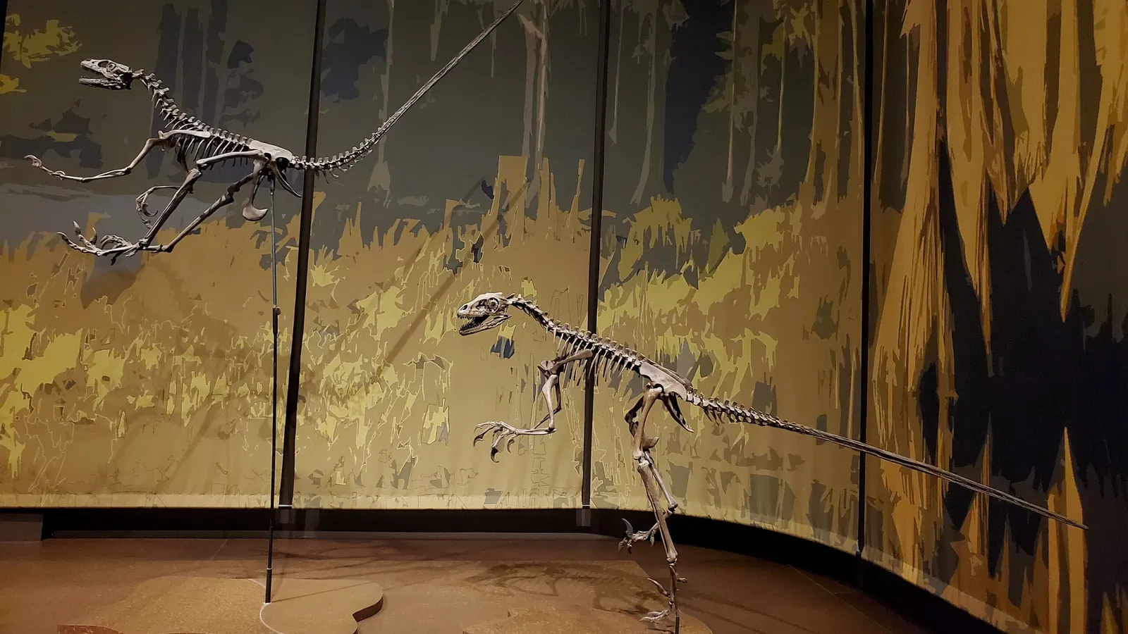 Tellus Science Museum