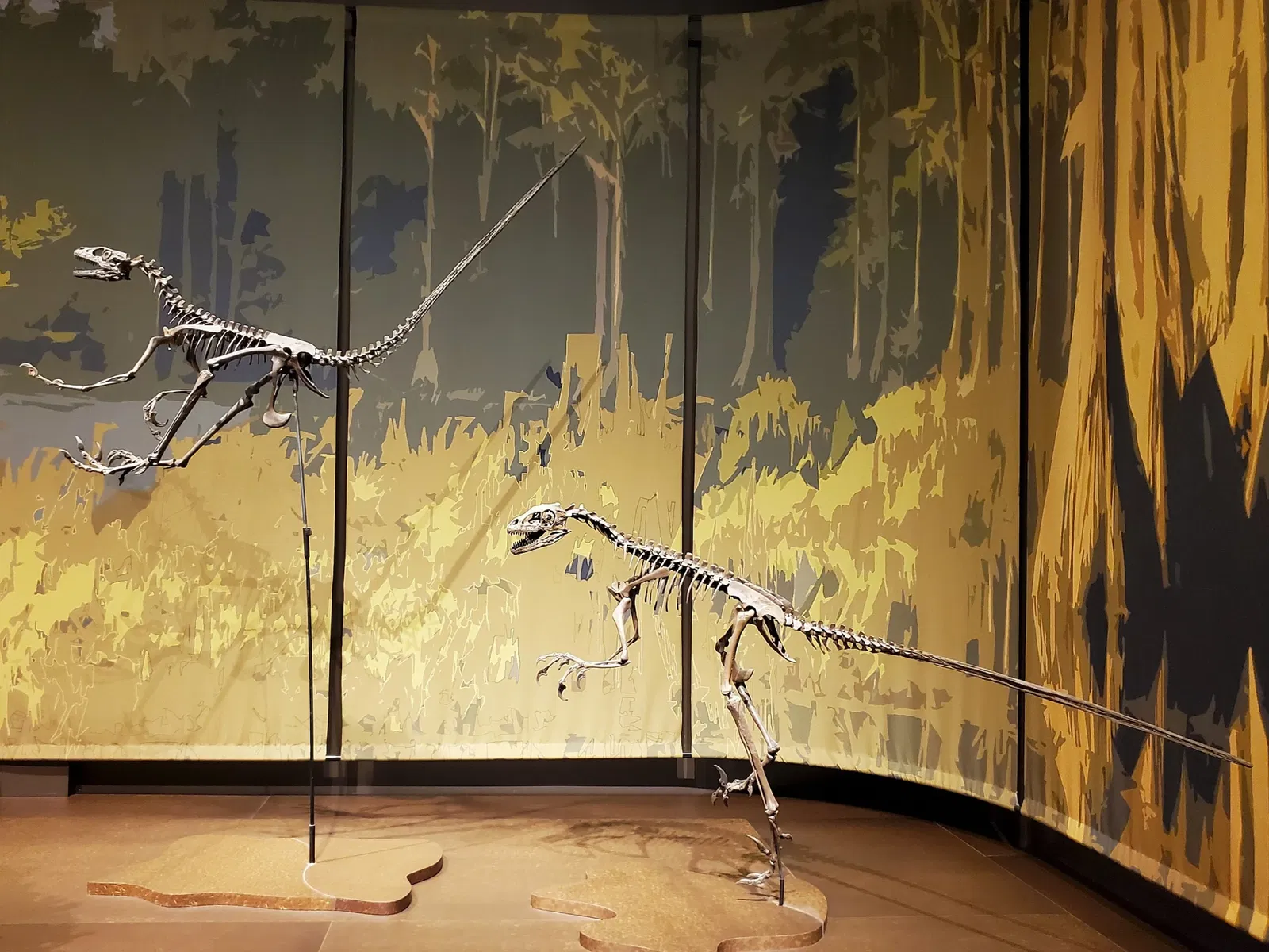 Tellus Science Museum