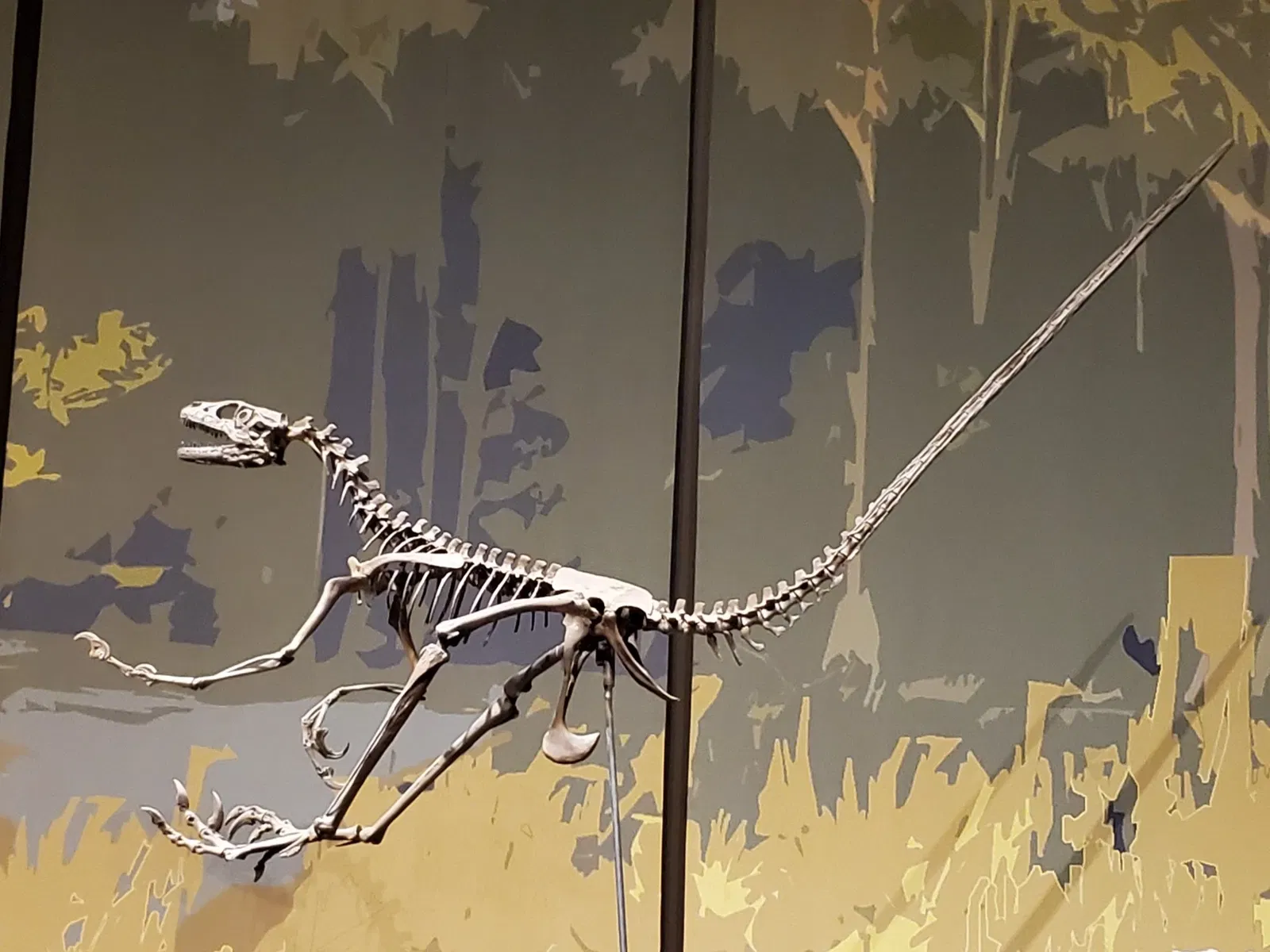 Tellus Science Museum