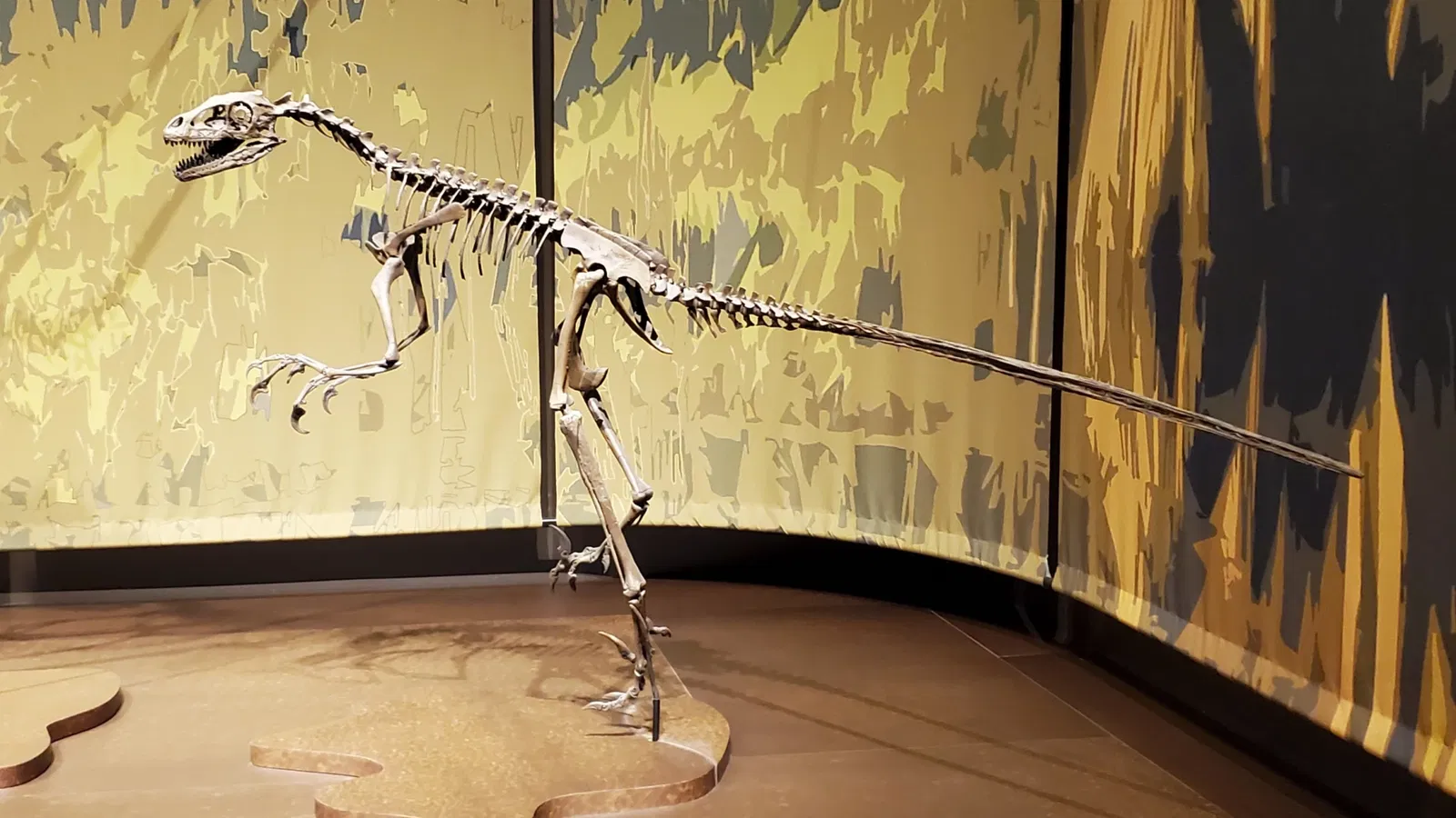 Tellus Science Museum