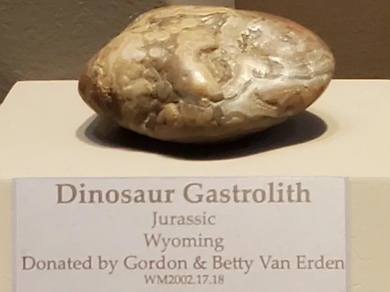 Tellus Science Museum