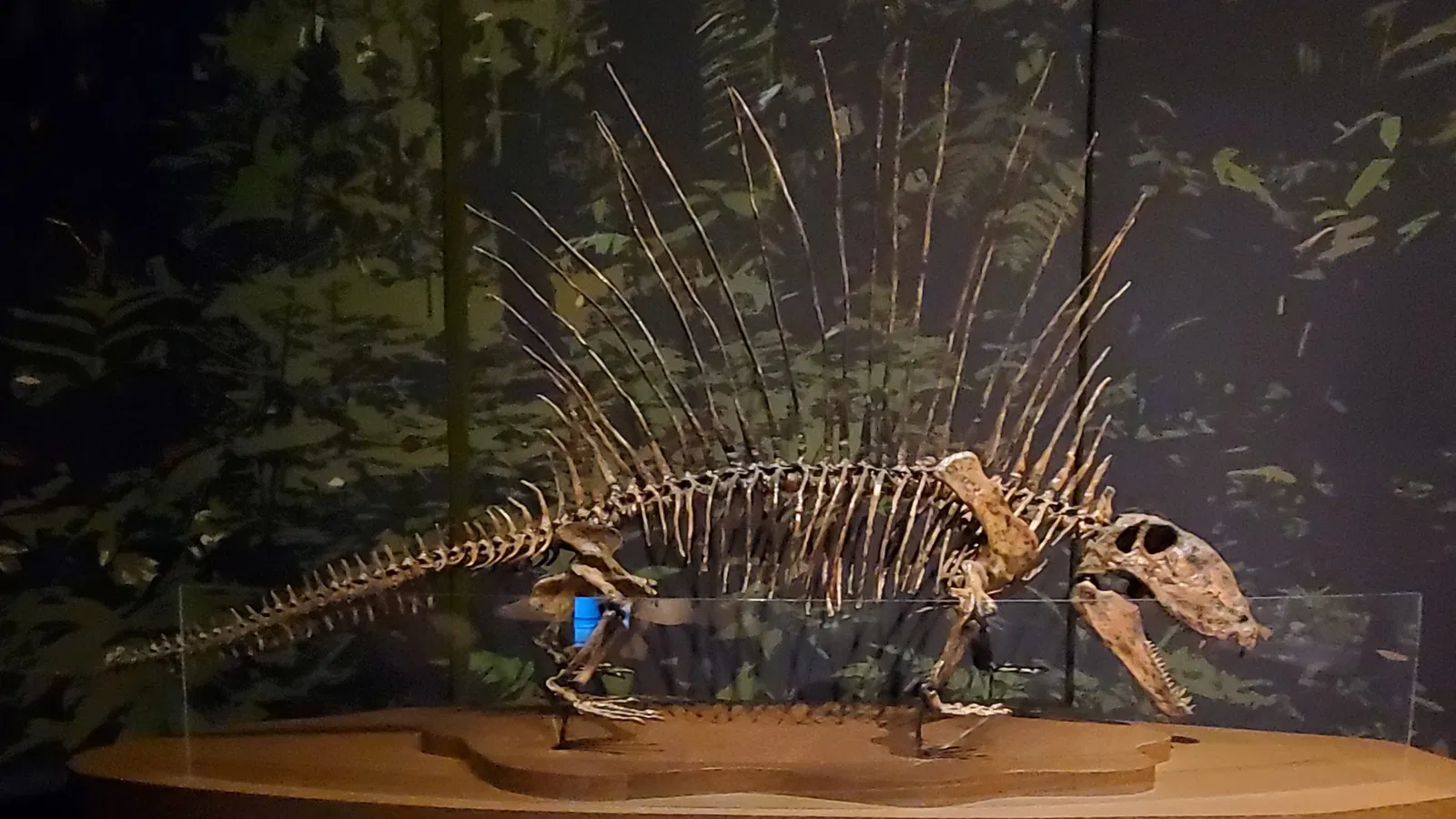 Tellus Science Museum