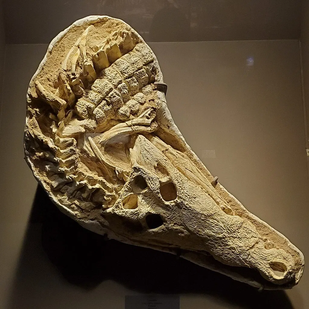 Tellus Science Museum