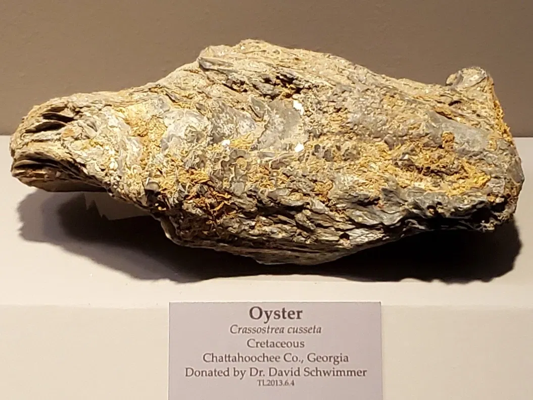 Tellus Science Museum