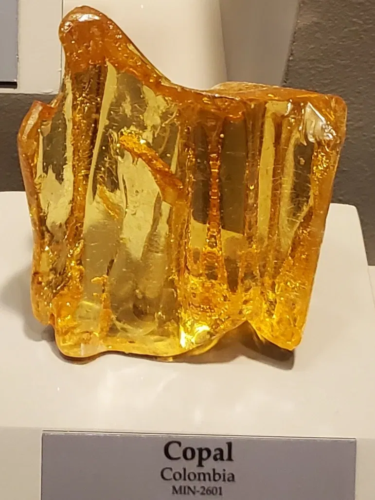 Tellus Science Museum