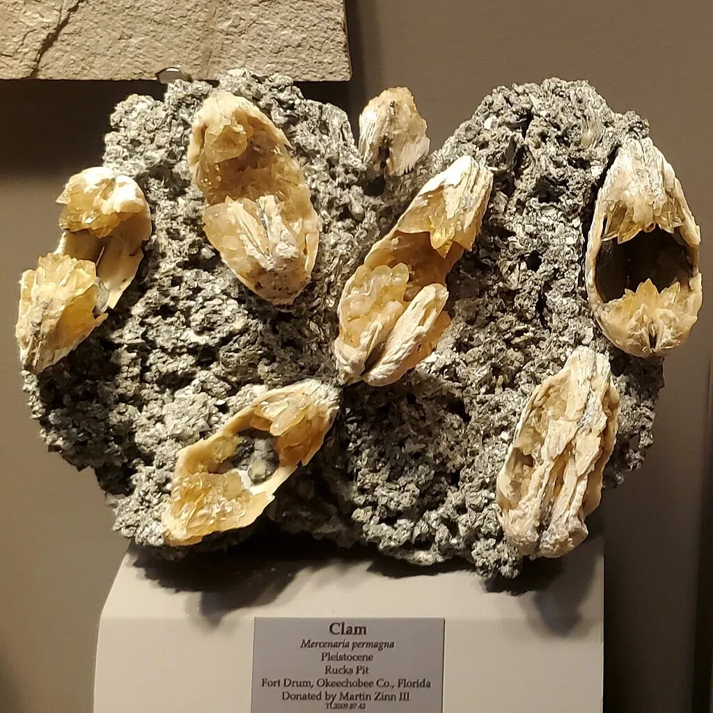 Tellus Science Museum