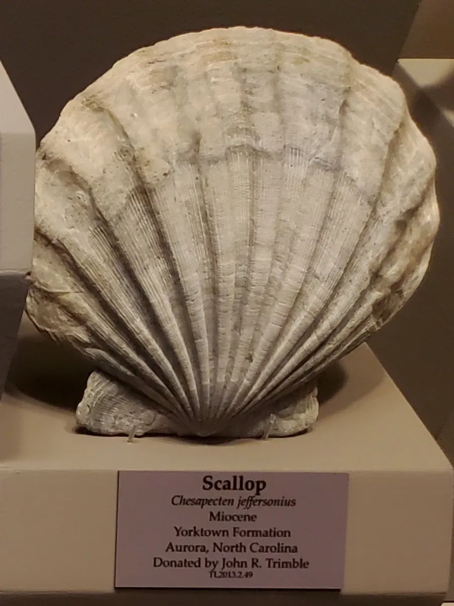 Tellus Science Museum