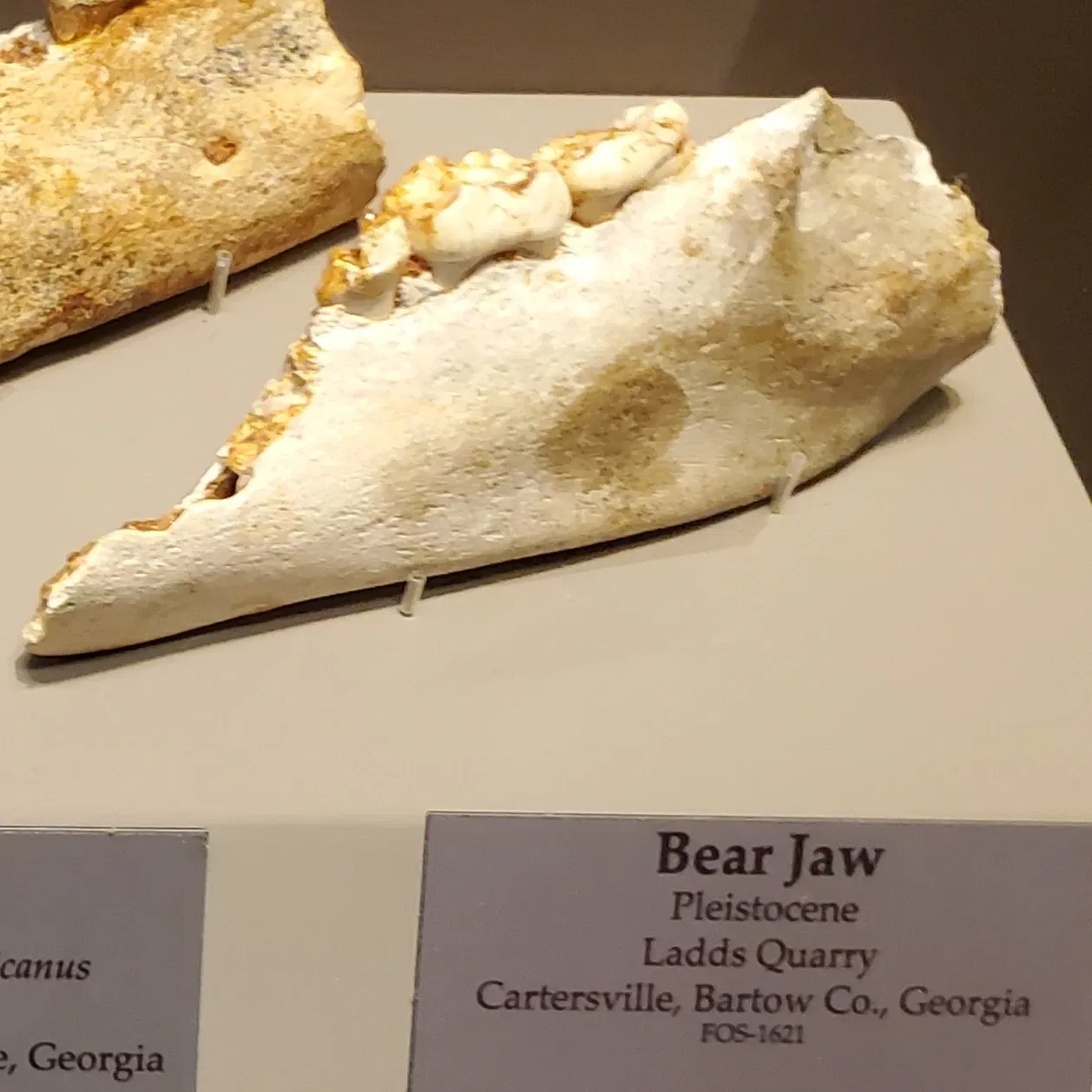 Tellus Science Museum