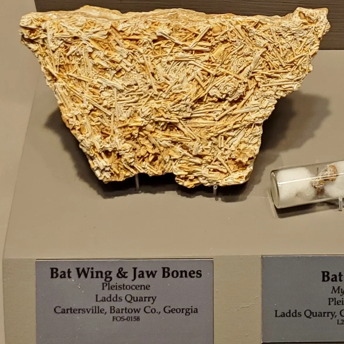 Tellus Science Museum