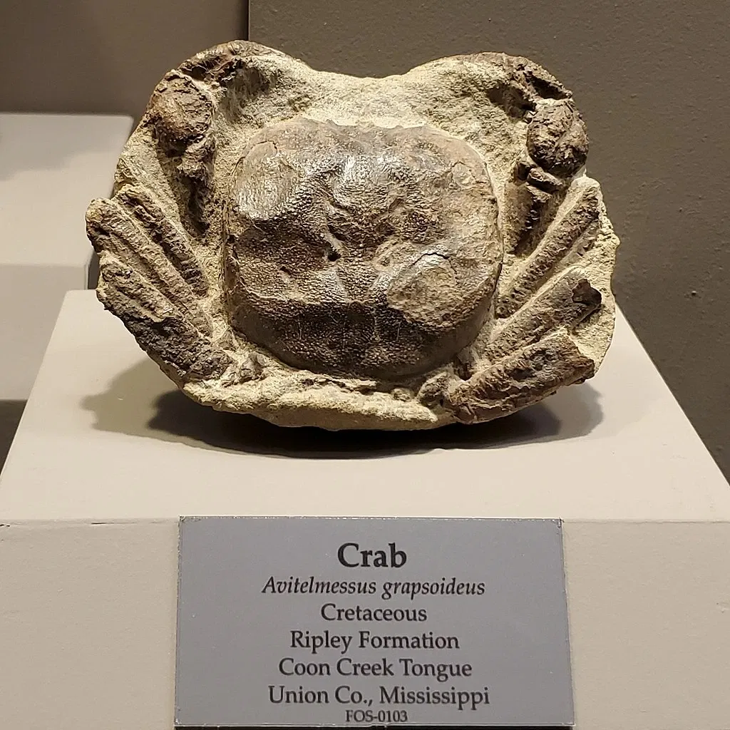 Tellus Science Museum