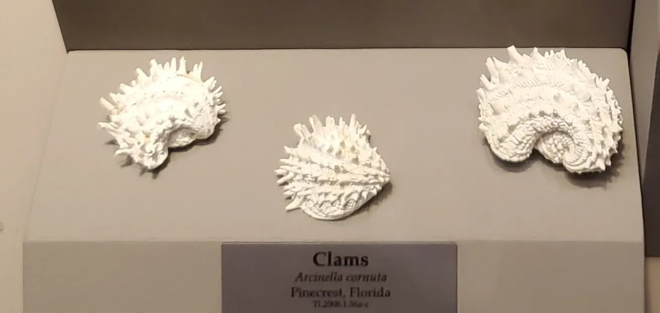 Tellus Science Museum