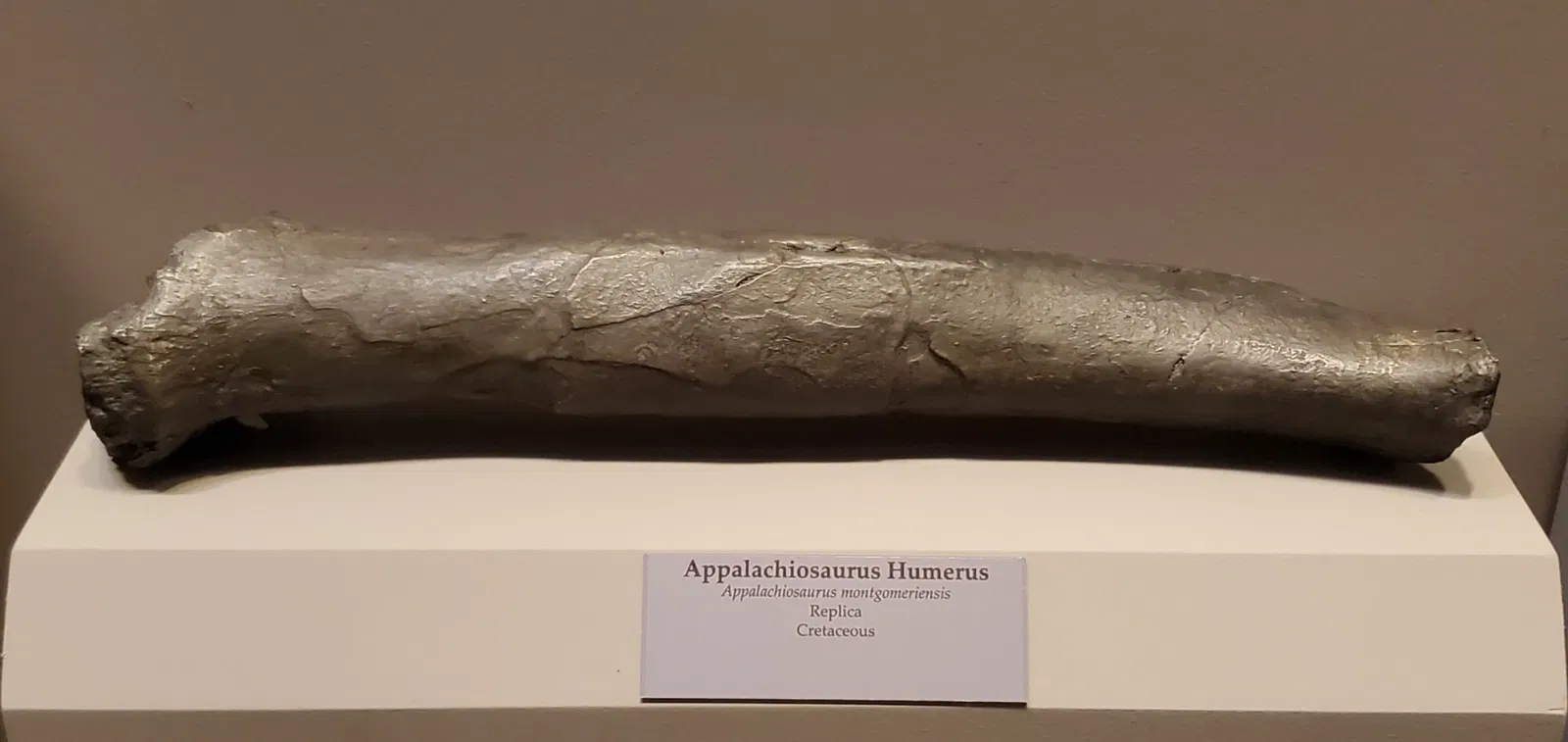 Tellus Science Museum