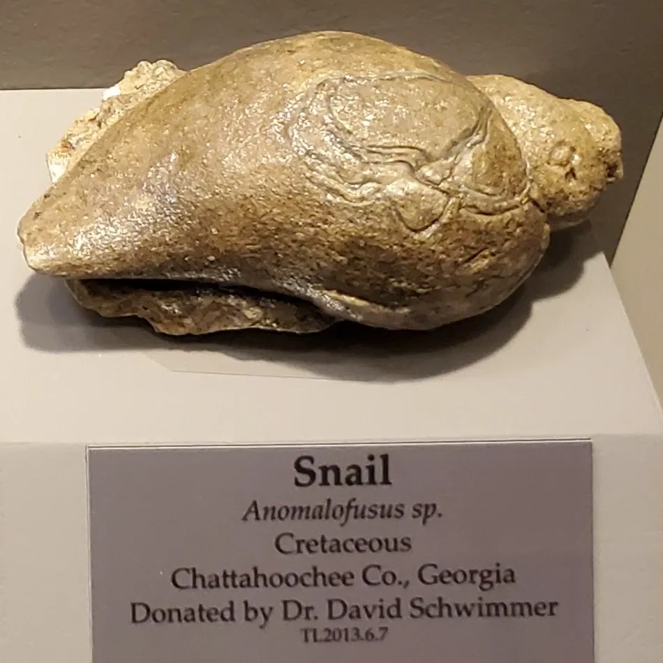 Tellus Science Museum