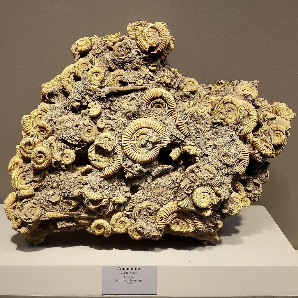 Tellus Science Museum