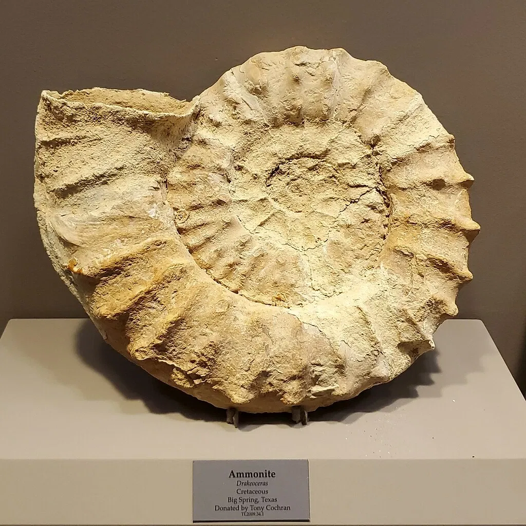 Tellus Science Museum