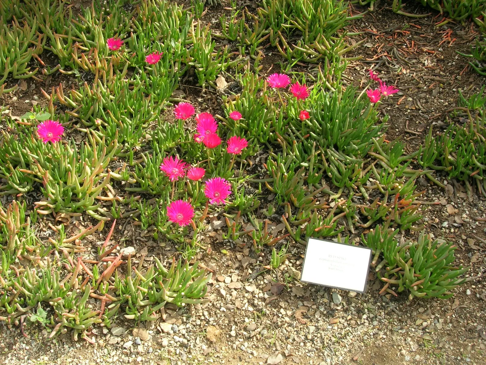Jardín botánico Wrigley