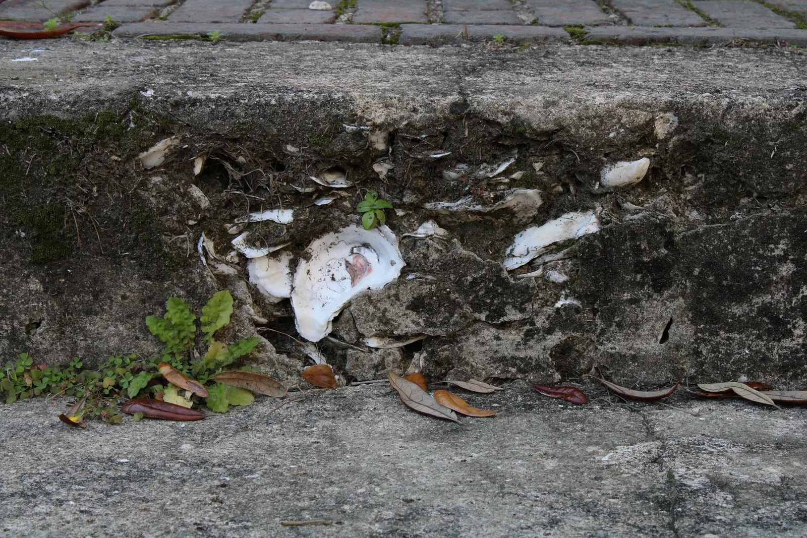 York W. Bailey Museum at Penn Center