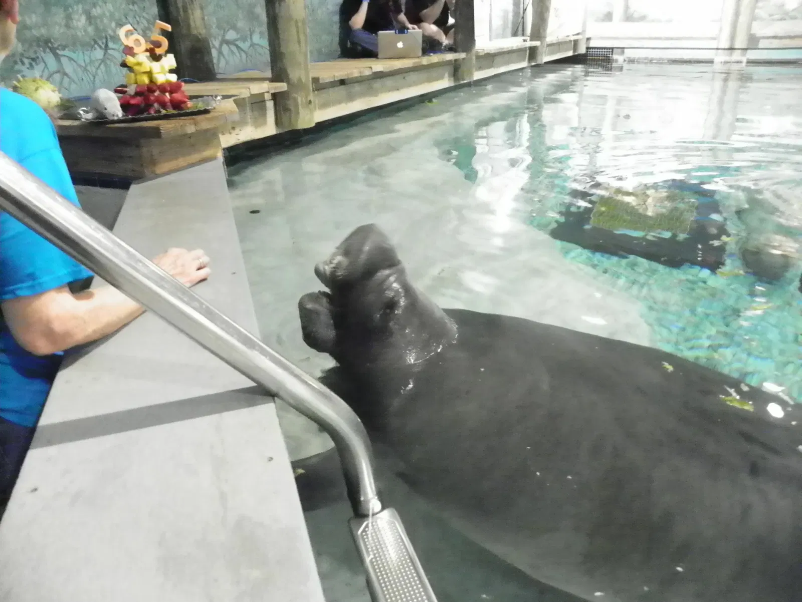 The Bishop Museum of Science and Nature