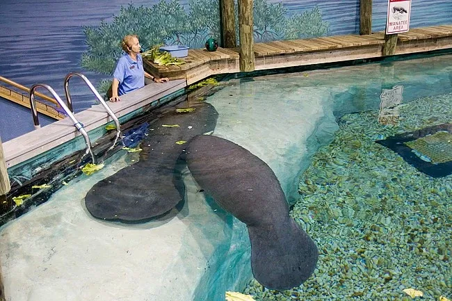 Museo del sur de la Florida