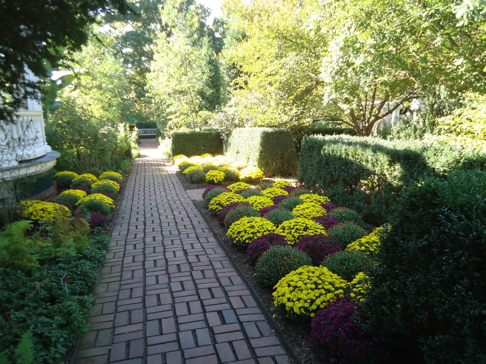 The Frelinghuysen Arboretum