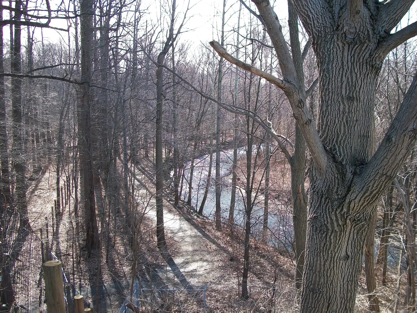 Arboreto Frelinghuysen