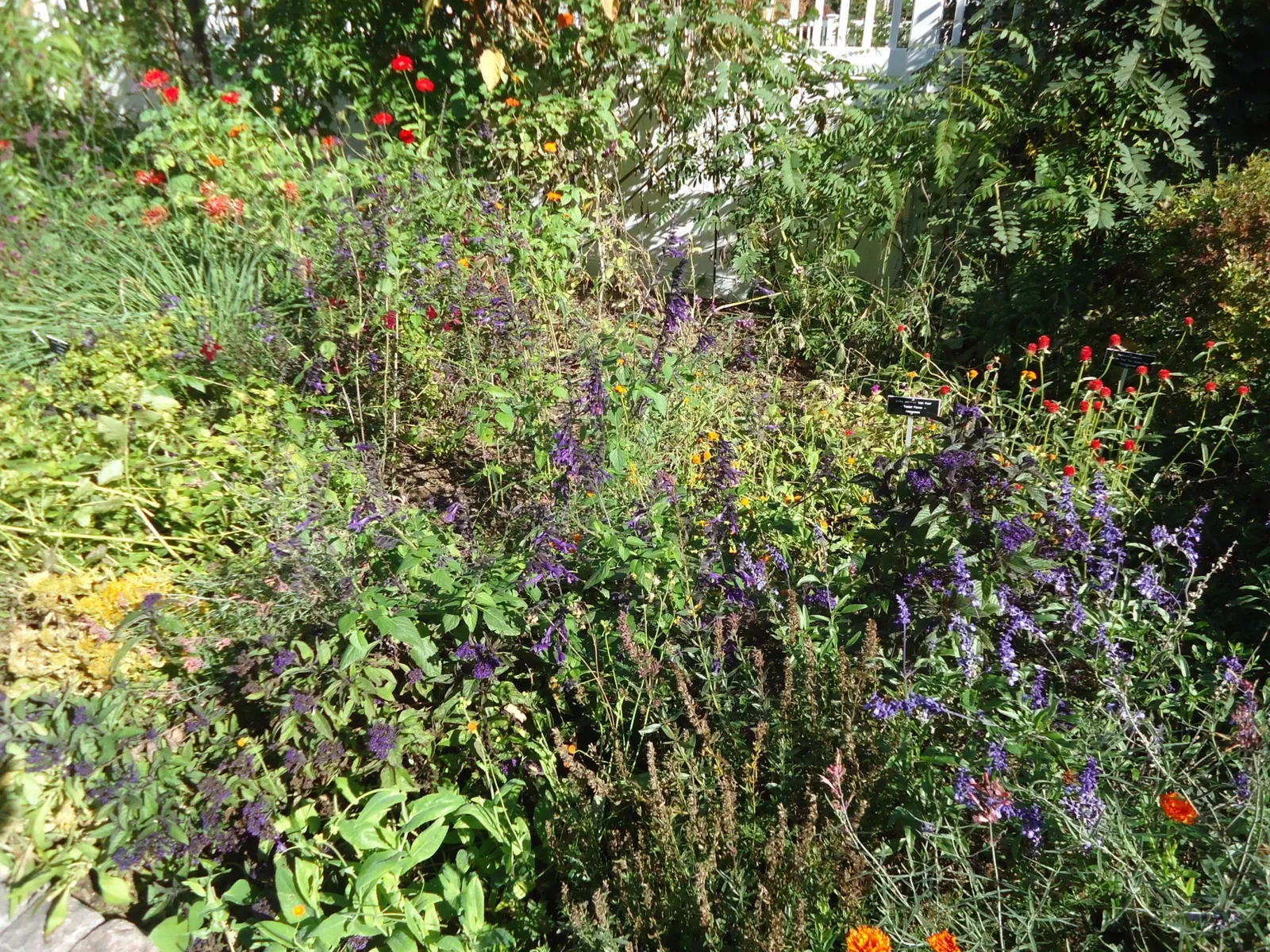 The Frelinghuysen Arboretum