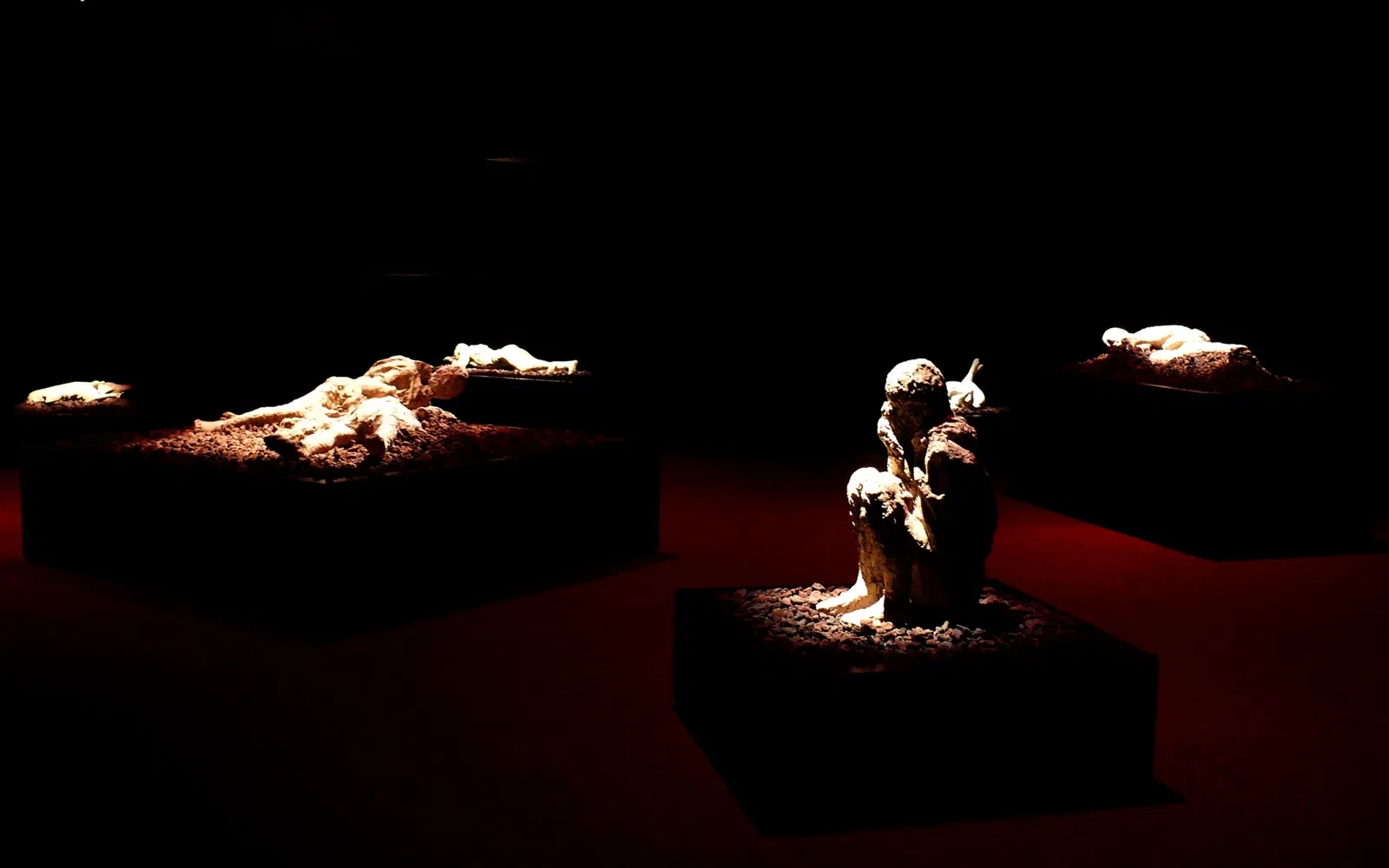 Discovery Place Kids - Huntersville