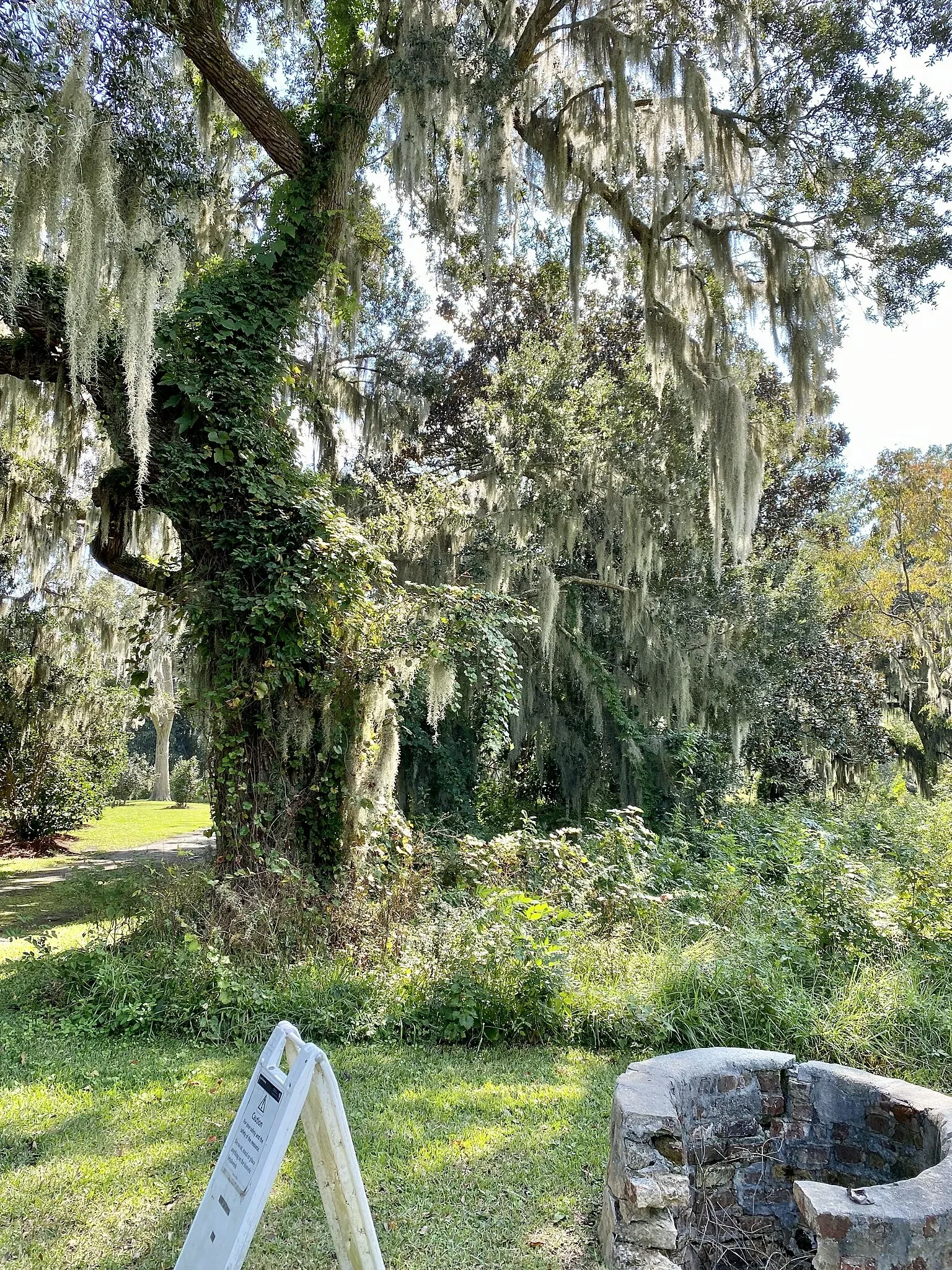 Charles Pinckney National Historic Site