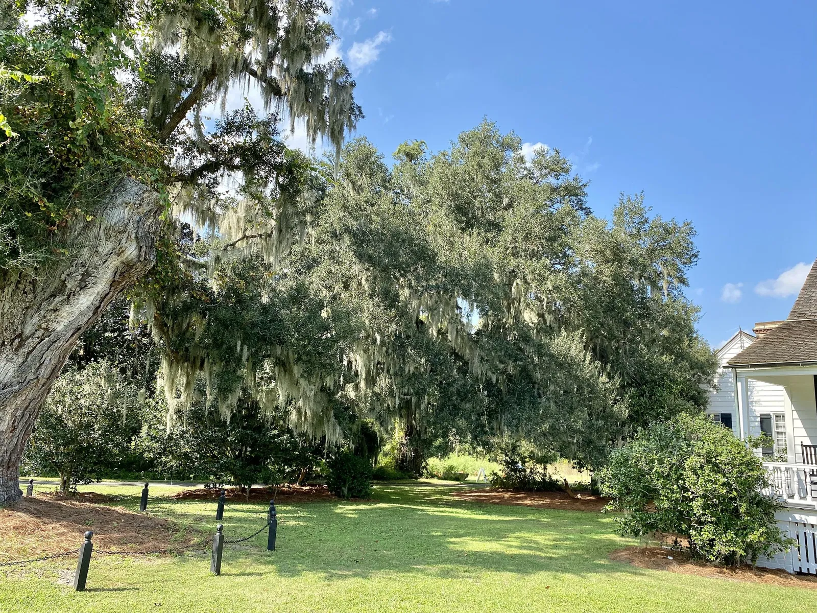 Charles Pinckney National Historic Site