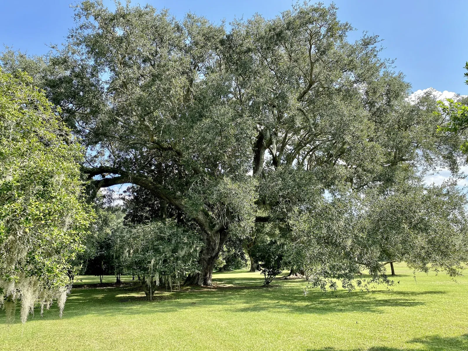 Charles Pinckney National Historic Site