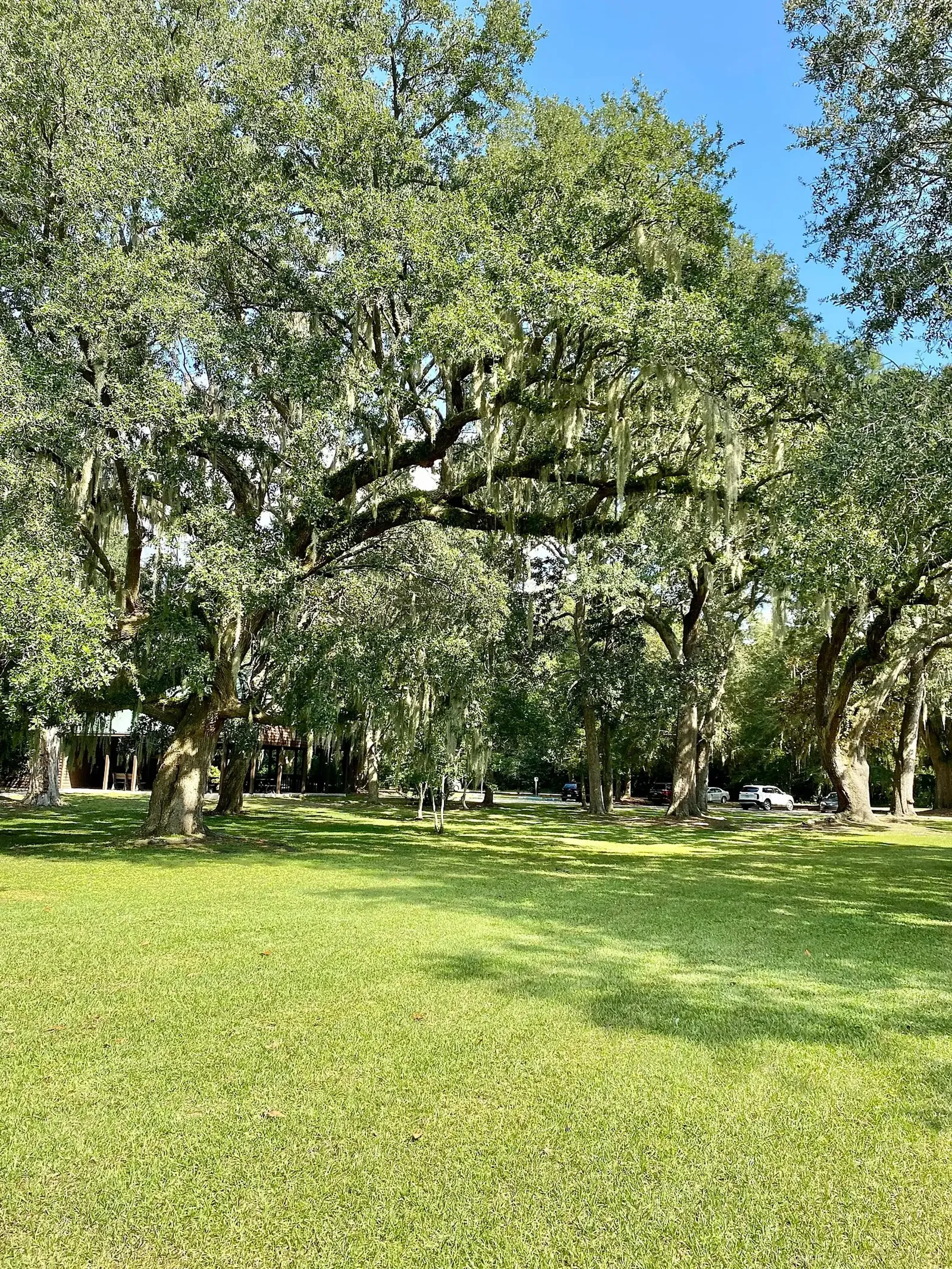 Charles Pinckney National Historic Site
