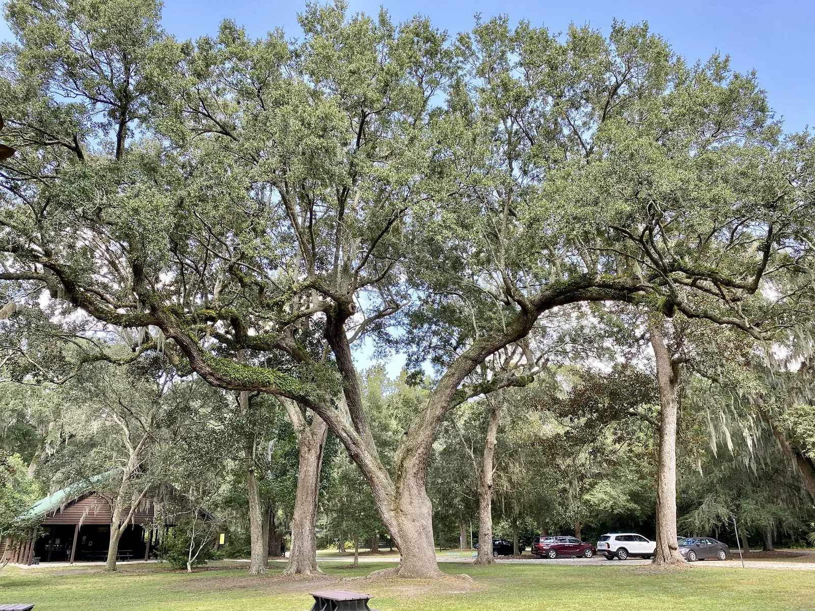Charles Pinckney National Historic Site