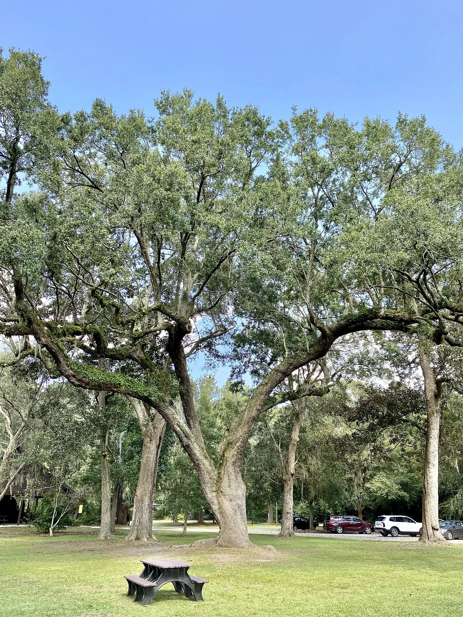 Charles Pinckney National Historic Site