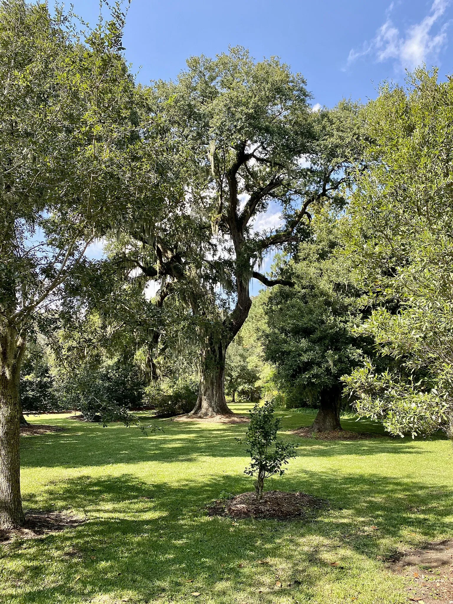 Charles Pinckney National Historic Site
