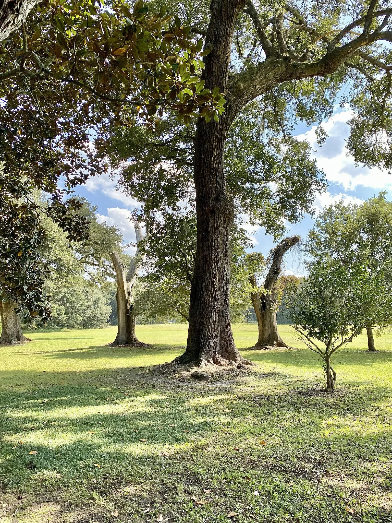 Charles Pinckney National Historic Site