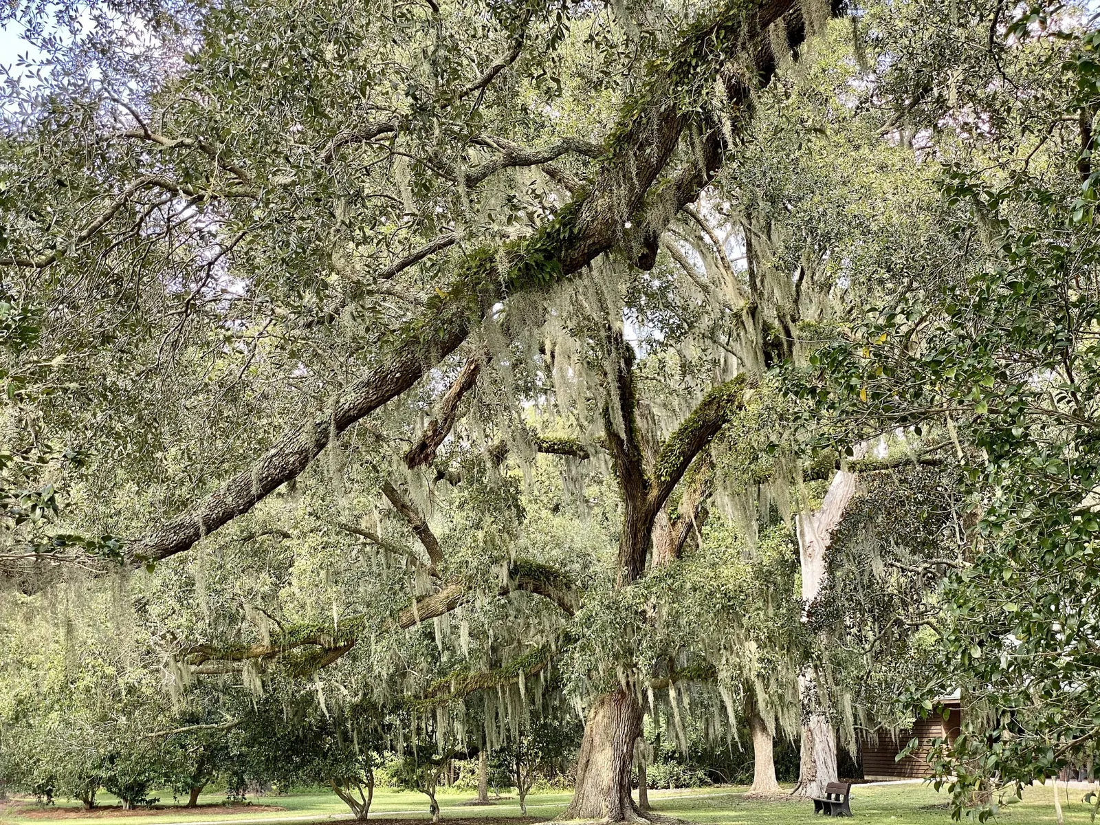 Charles Pinckney National Historic Site