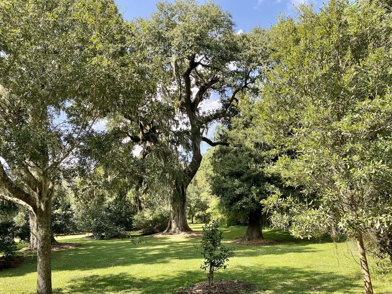 Charles Pinckney National Historic Site