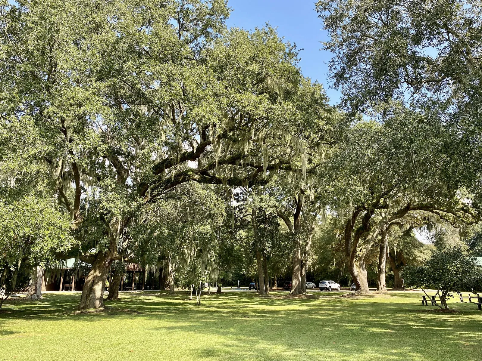 Charles Pinckney National Historic Site
