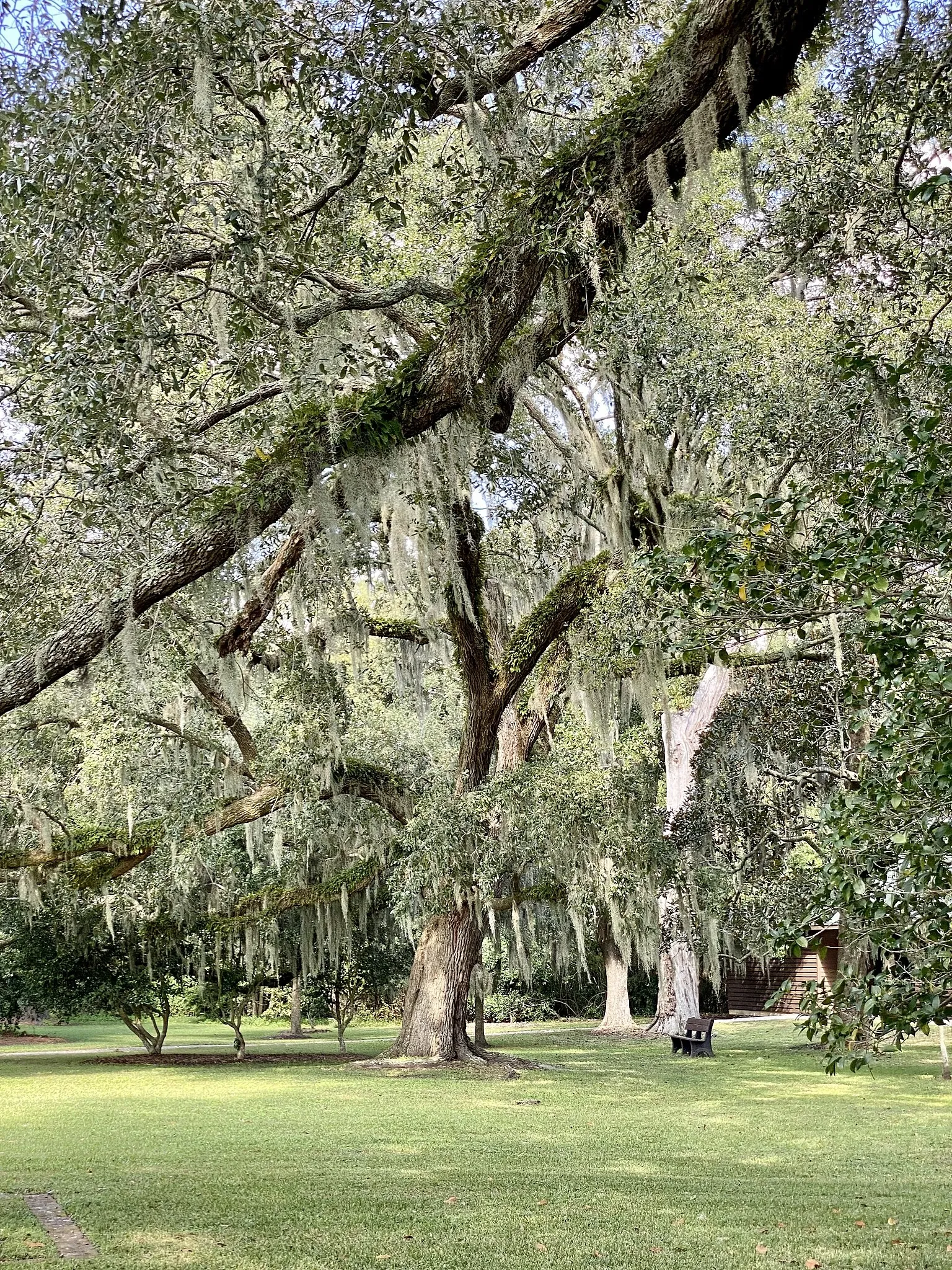 Charles Pinckney National Historic Site